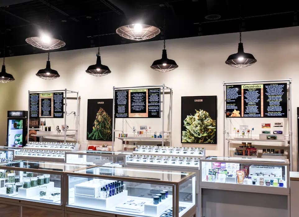 Premium Bulk Cannabis Halifax: Quality Selection and Seamless Delivery