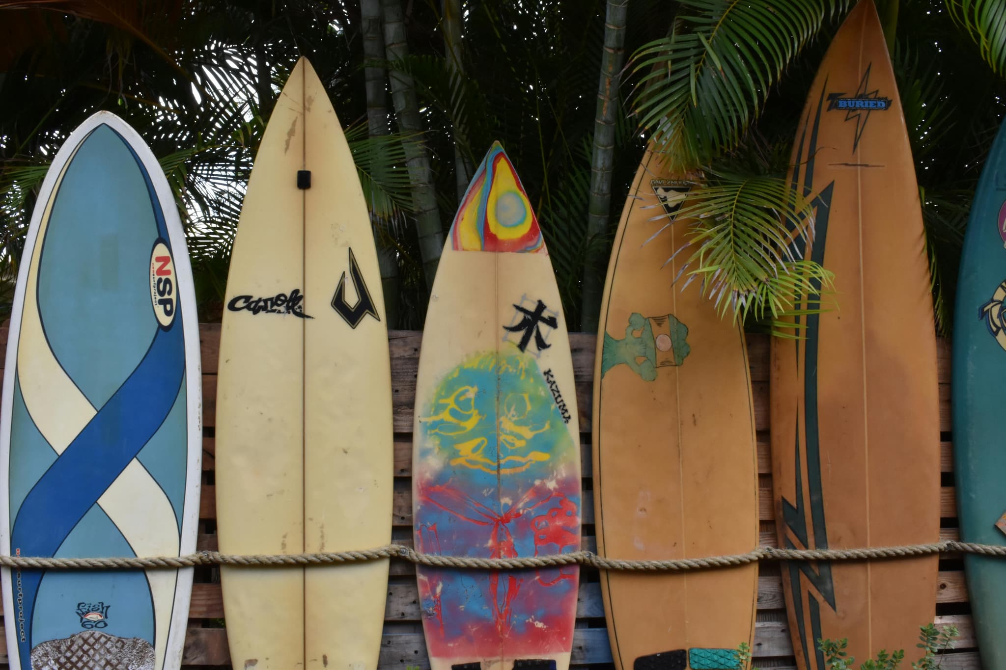 Summer Snowboard Tune Up: Keep Your Board in Peak Condition