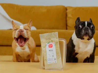 Complete Guide to The Farmer's Dog Price