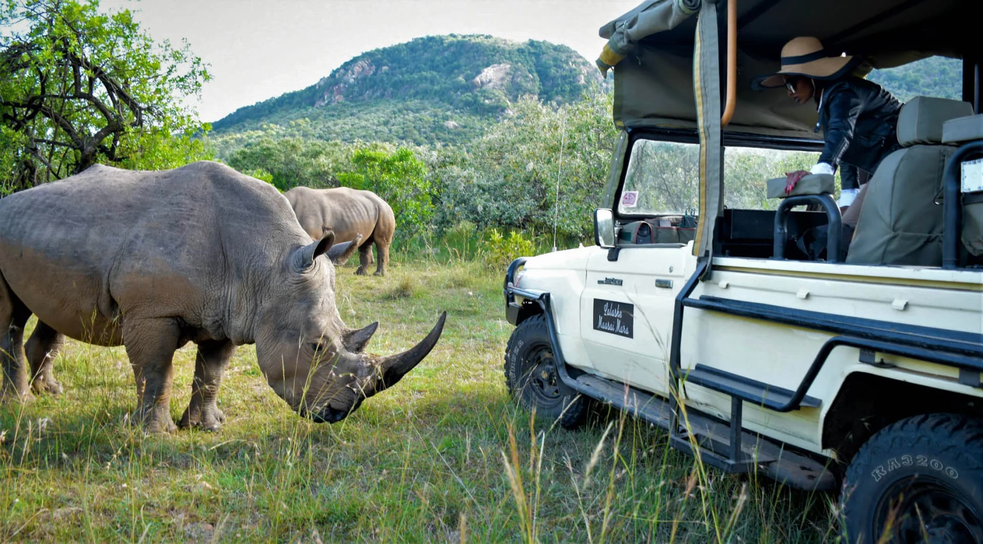 Kenya Tanzania Safari Packages Featuring the Great Migration