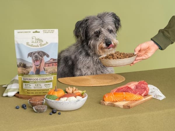 Nutrient-Dense Meals: Dr Martys Dog Food Overview