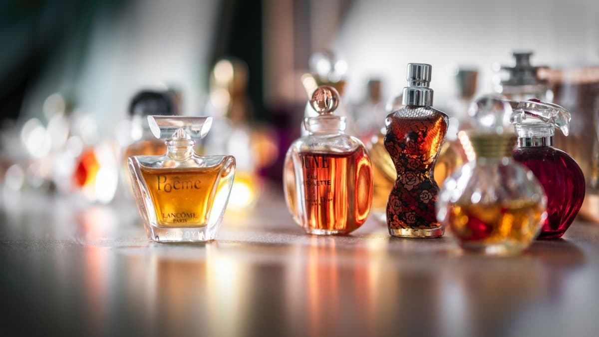 Ervaar de verkwikkende aroma’s van Reef parfum creaties