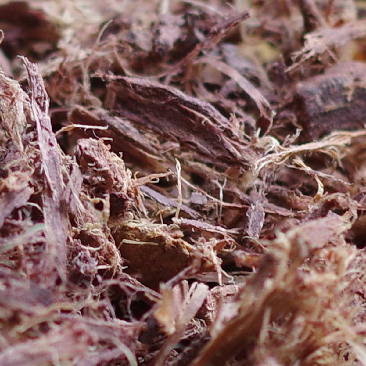 Sustainable Dyeing with Mhrb USA Products