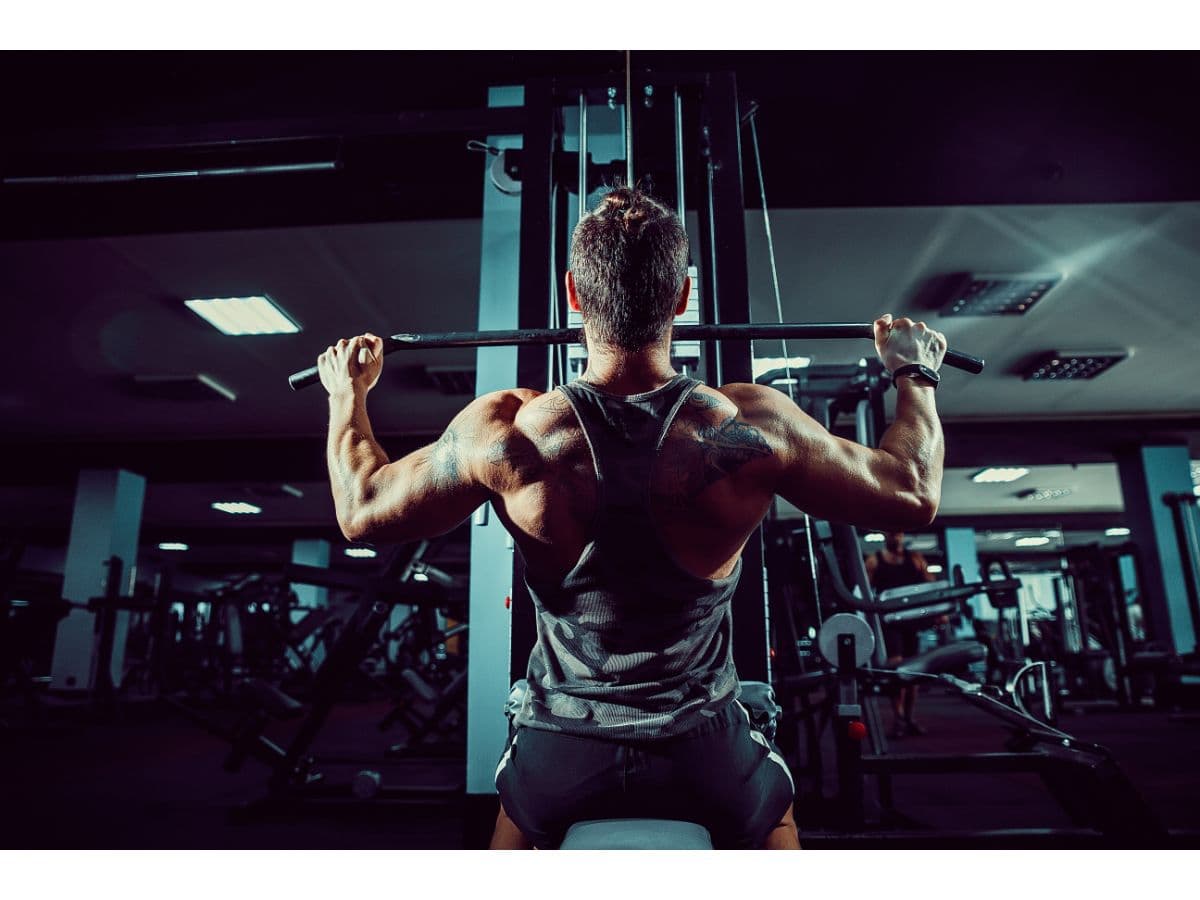 Barbell and Plates – Complete Strength Training System | YINUO SPORT