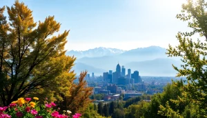 Experience the vibrant cityscape of Almaty at https://albmaftoh.com with breathtaking mountain views.
