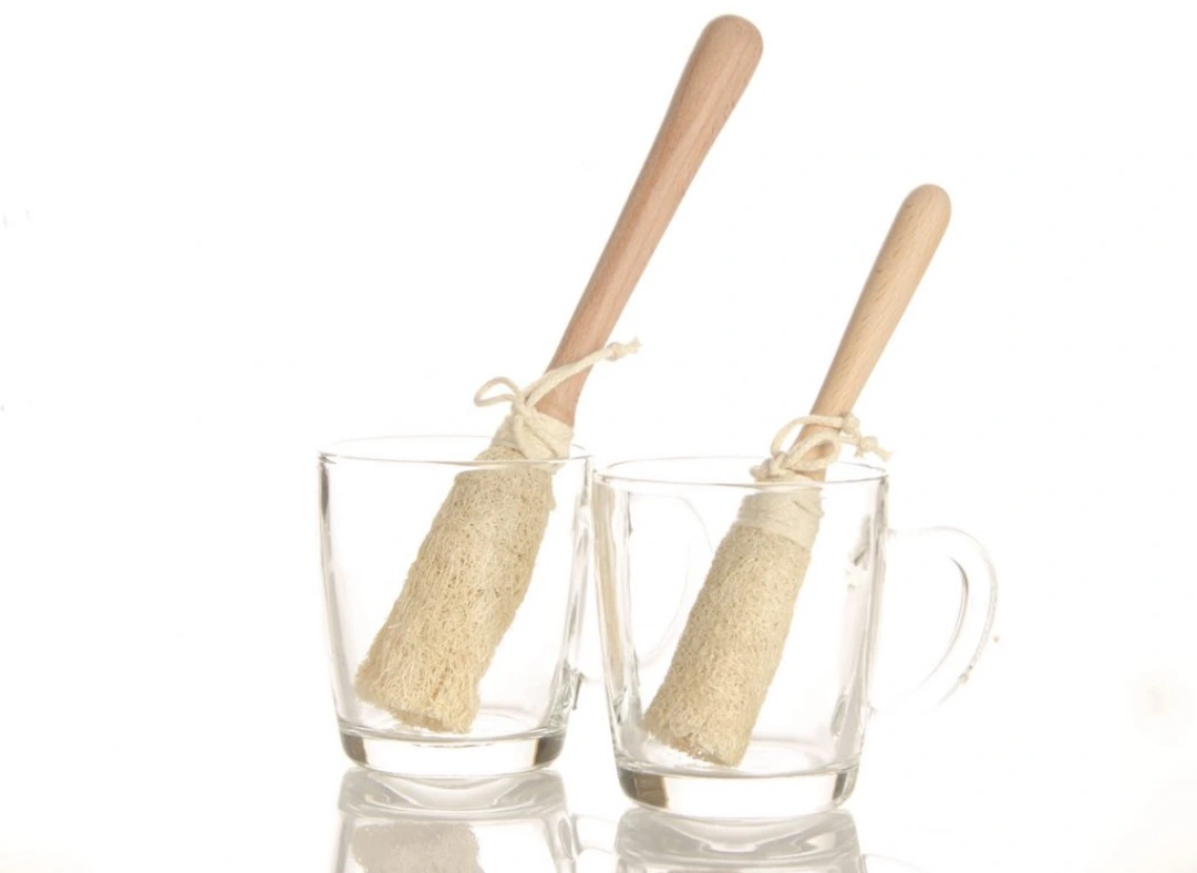 Kitchen Loofah Benefits for Natural Dishwashing