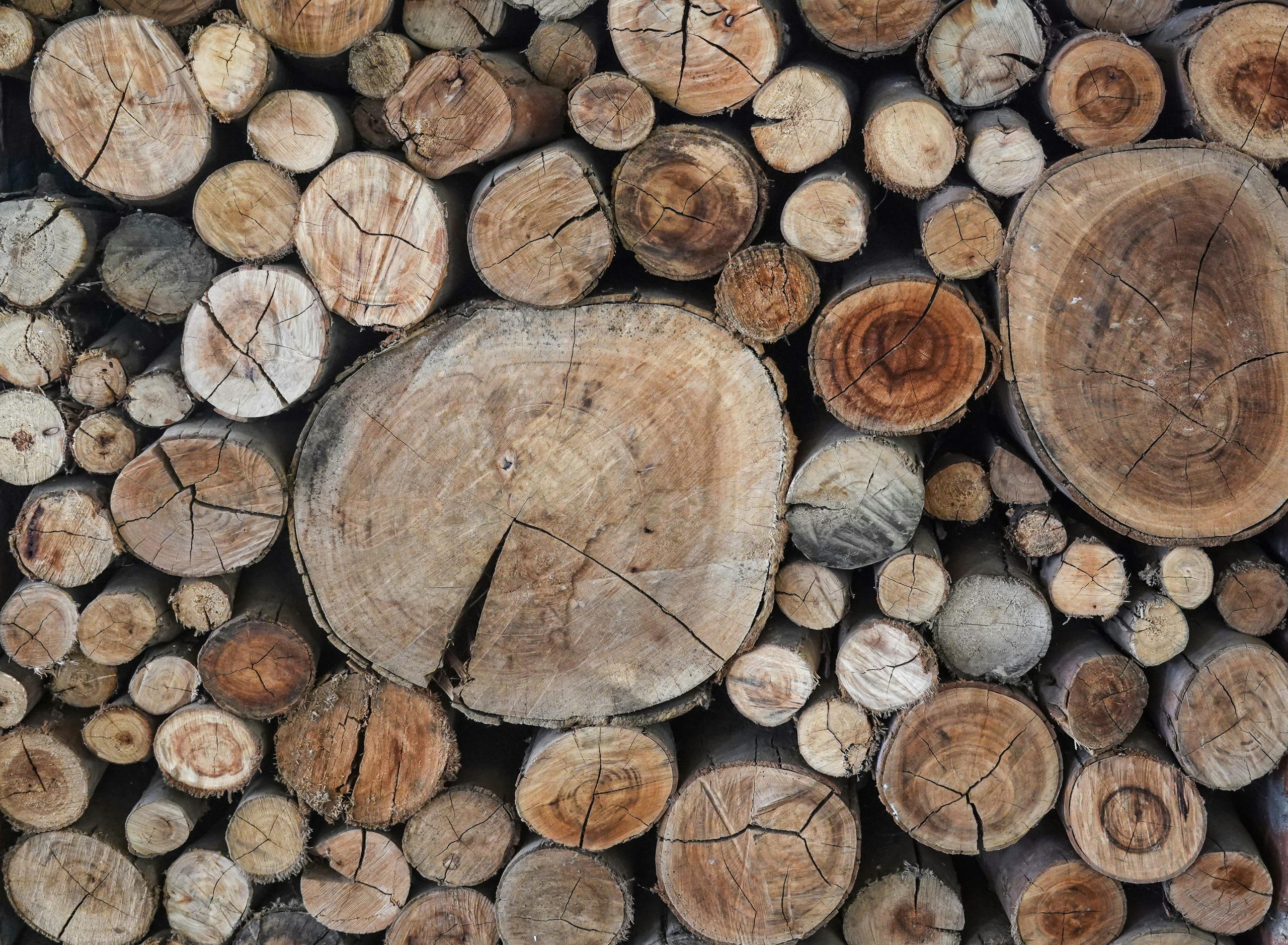 Buy Wood Briquette for Clean and Efficient Fuel